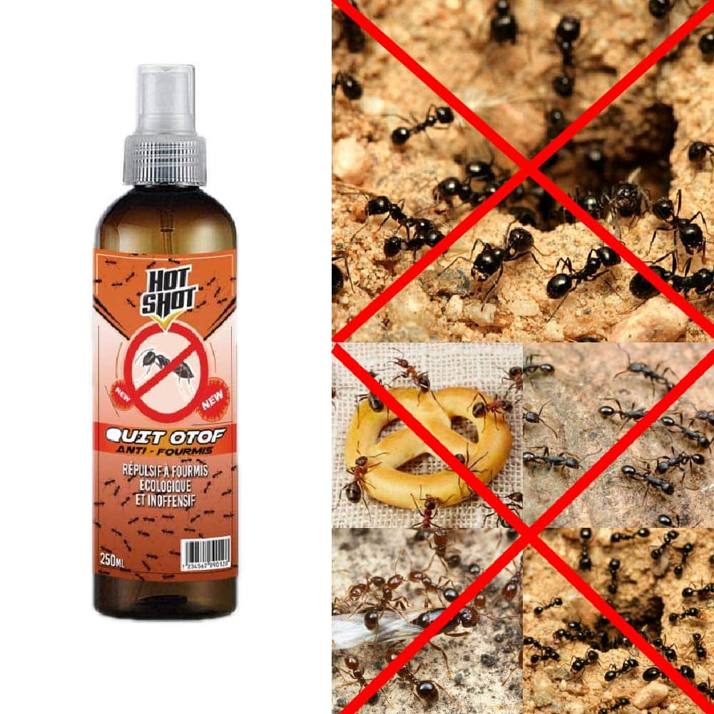 رشاش الطبيعي والآمن لطرد النمل من المنزل بدون كيماويات وبدون قتلهم –  لا يباع في المتاجر  (Anti-fourmis Spray)