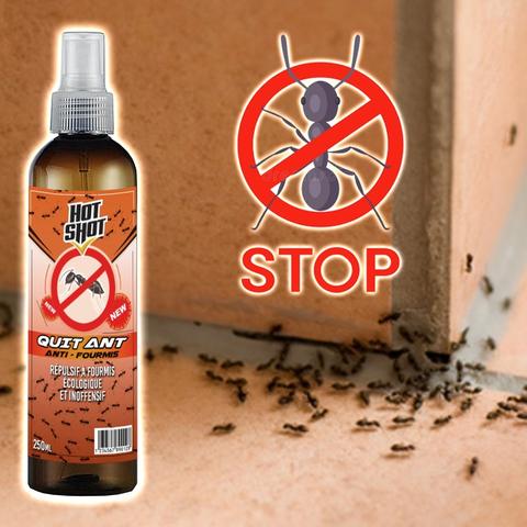بخاخ طرد النمل من المنزل بدون مواد كيميائية (Anti-fourmis Spray)